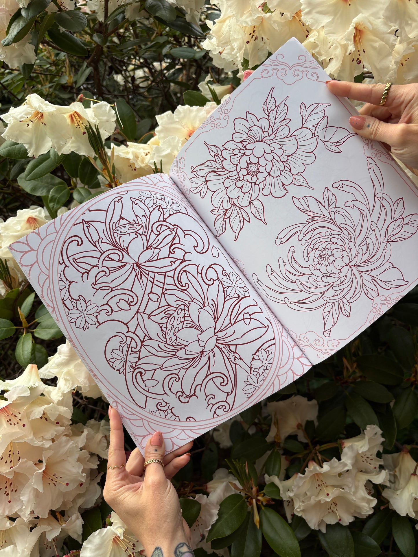 Horichou Seeing Red vol.2